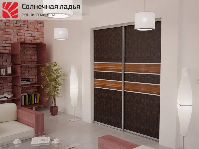 шкаф - купе для гостиной 17 в Хабаровске