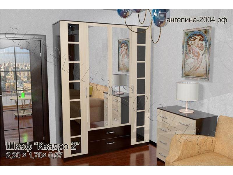 шкаф квадро 2 в Хабаровске