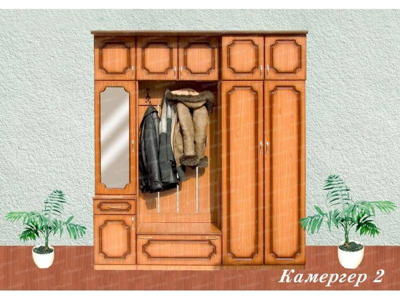 прихожая камергер 2 в Хабаровске