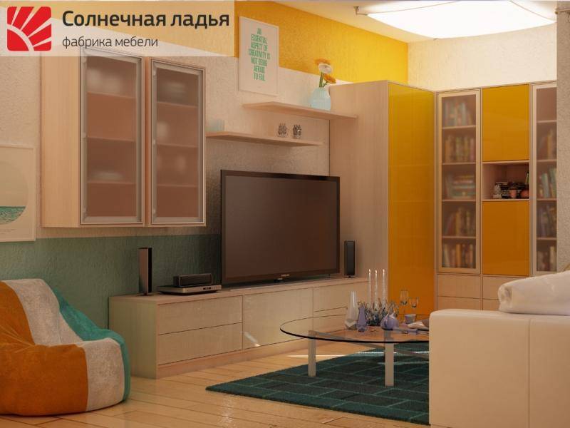 шкаф - купе для гостиной 15 в Хабаровске