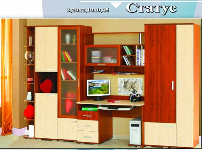детская «статус» в Хабаровске
