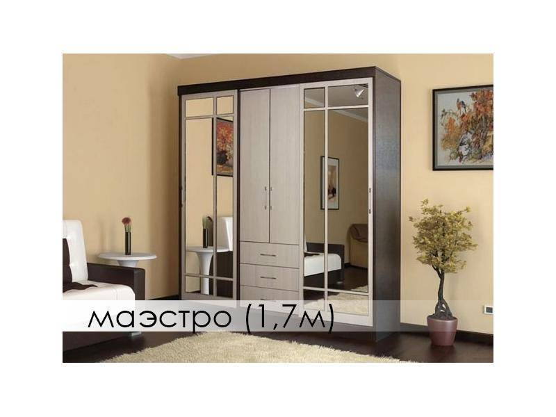 шкаф-купе маэстро в Хабаровске