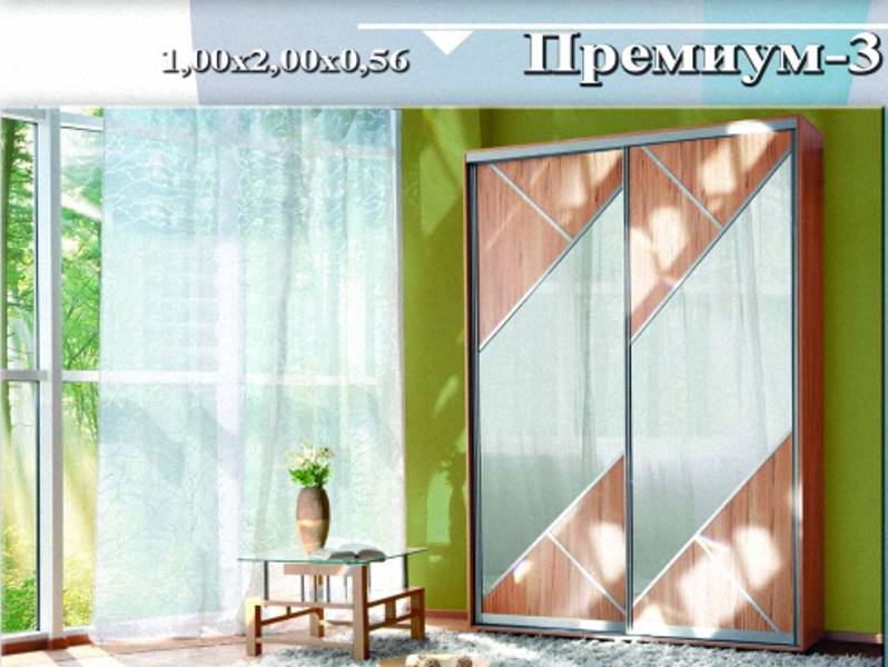 шкаф-купе «премиум 3» в Хабаровске