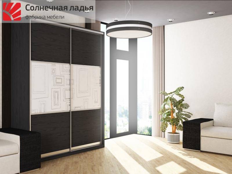 шкаф - купе для гостиной 4 в Хабаровске