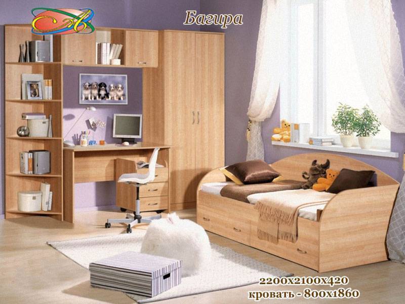 детская «багира» в Хабаровске