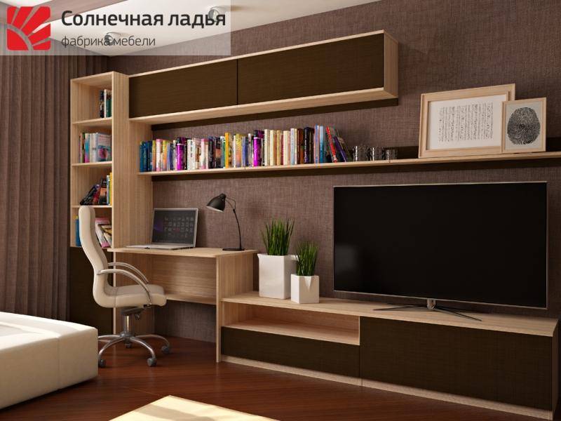 шкаф - купе для гостиной 13 в Хабаровске