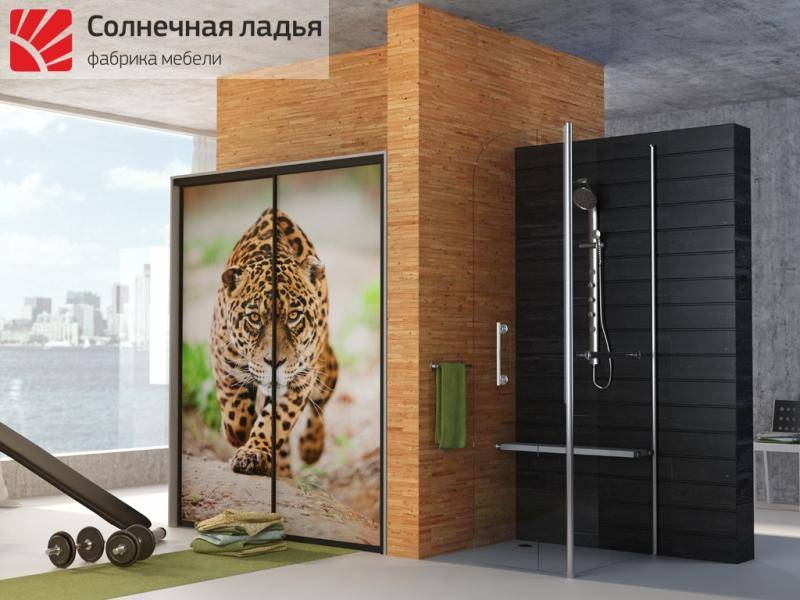шкаф - купе фотопечать 4 в Хабаровске