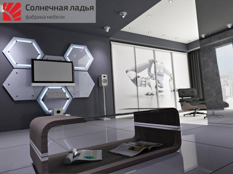 шкаф - купе для гостиной 11 в Хабаровске