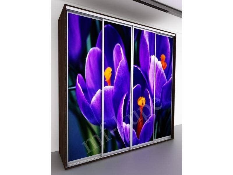 шкаф-купе бергамо violet 4 в Хабаровске