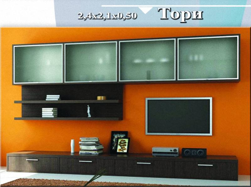 стенка «тори» в Хабаровске