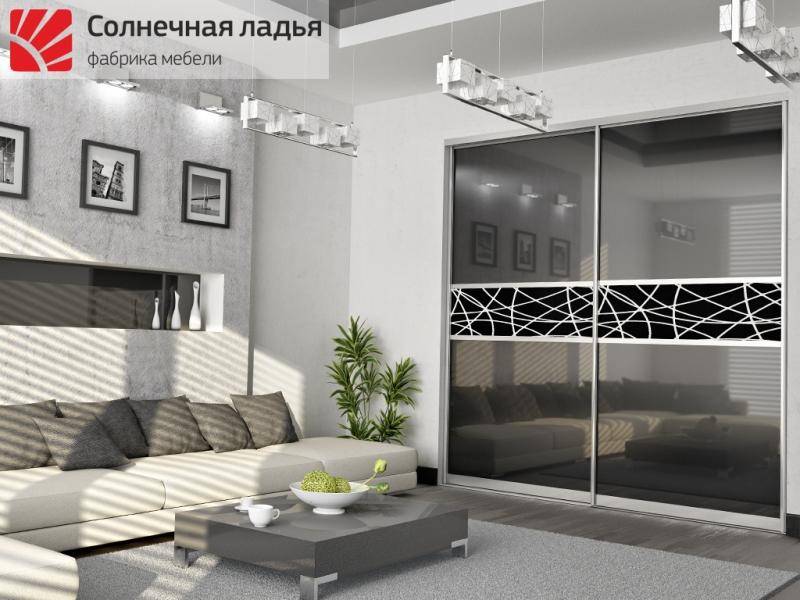 шкаф - купе для гостиной 10 в Хабаровске