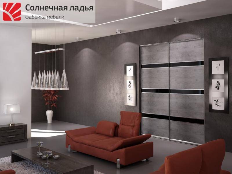 шкаф - купе для гостиной 18 в Хабаровске