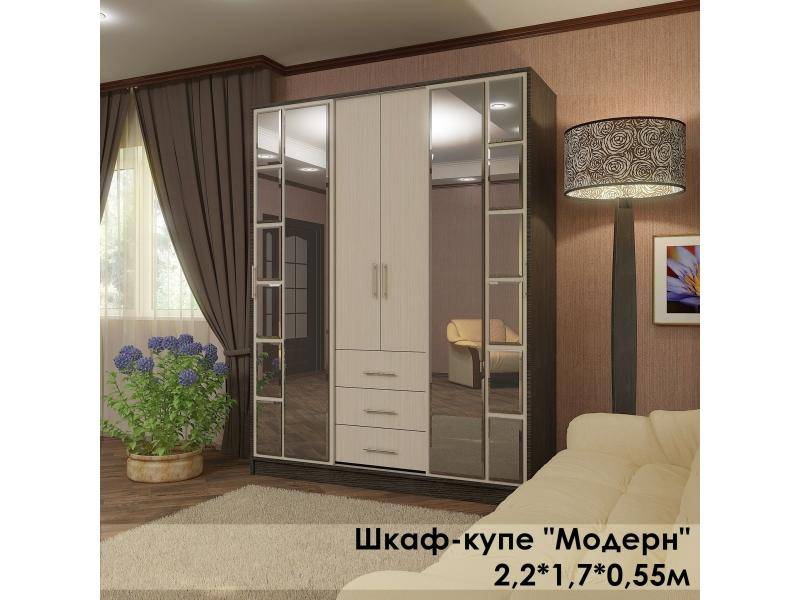 шкаф-купе в стиле модерн в Хабаровске
