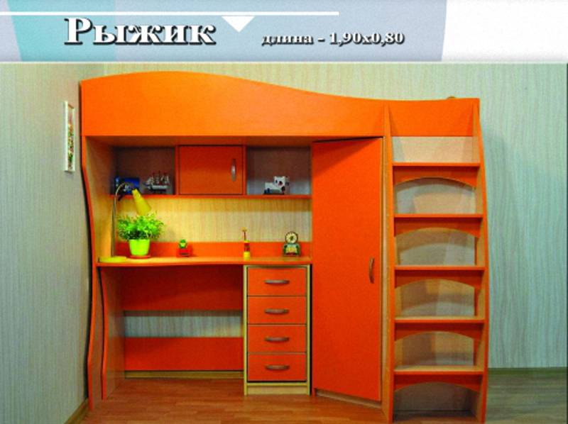 детская «рыжик» в Хабаровске