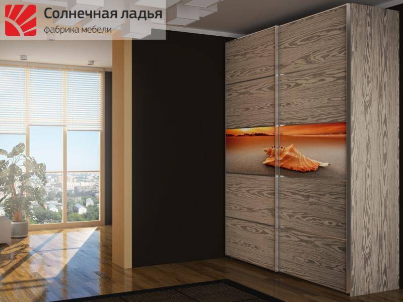 шкаф - купе для гостиной 2 в Хабаровске