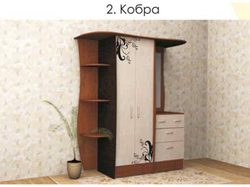 прихожая кобра в Хабаровске
