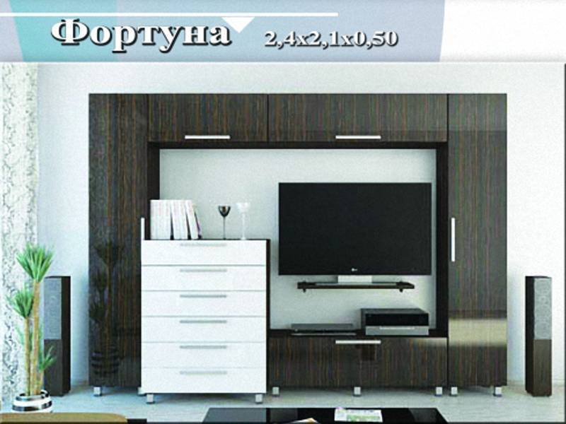 гостиная-стенка «фортуна» в Хабаровске