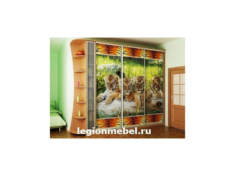 шкаф-купе с фотопечатью в Хабаровске