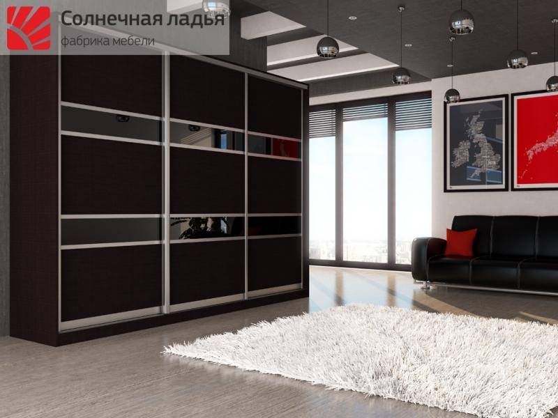 шкаф - купе для гостиной 5 в Хабаровске
