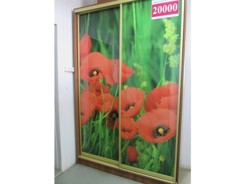 шкаф-купе 00002 в Хабаровске