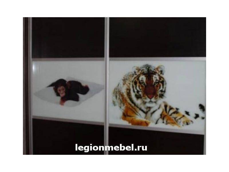 темный шкаф-купе с фотопечатью в Хабаровске