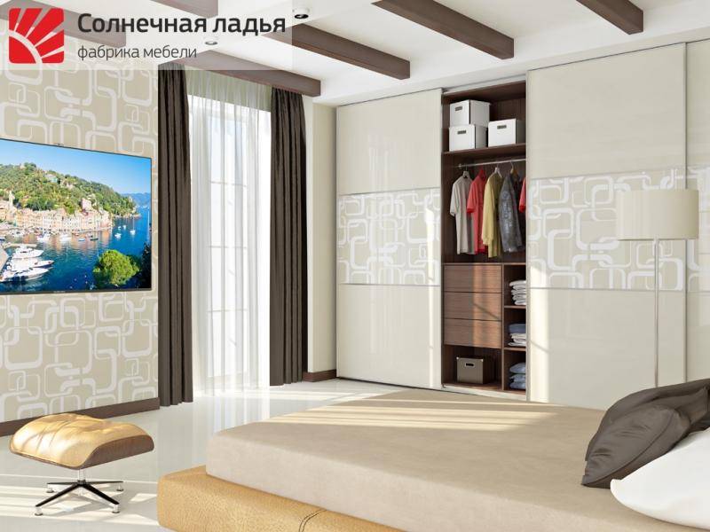 шкаф - купе для гостиной 8 в Хабаровске