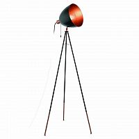 торшер eglo chester 49386 в Хабаровске