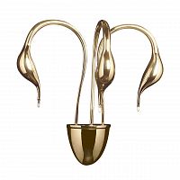 бра lightstar cigno collo 751632 в Хабаровске