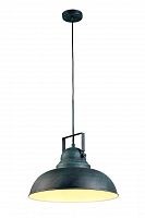 подвесной светильник arte lamp martin a5213sp-1bg в Хабаровске