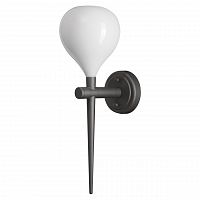 бра lightstar forma 808650 в Хабаровске