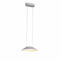 подвесной светодиодный светильник st luce pitto sl427.503.01 в Хабаровске
