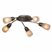 потолочная люстра lussole cevedale grlsq-6907-05 в Хабаровске