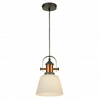 подвесной светильник lussole loft grlsp-9846 в Хабаровске
