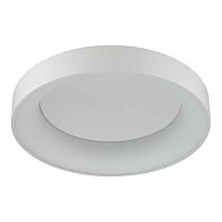 потолочный светодиодный светильник odeon light sole 4062/40cl в Хабаровске