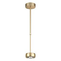 подвесной светодиодный светильник odeon light ottico 3874/10l в Хабаровске