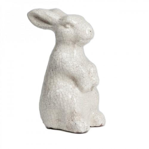 кролик декоративный rabbit в Хабаровске