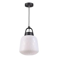 уличный подвесной светильник novotech conte 370601 в Хабаровске