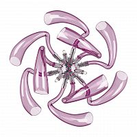 бра lightstar stella 892668 в Хабаровске