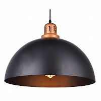 подвесной светильник arte lamp eurica a4249sp-1bk в Хабаровске
