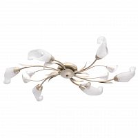 потолочная люстра mw-light восторг 242016906 в Хабаровске