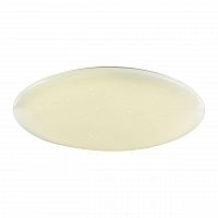 потолочный светодиодный светильник f-promo luna 2319-10c в Хабаровске
