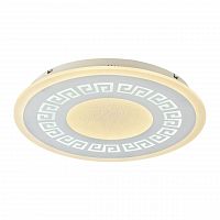 потолочный светодиодный светильник f-promo ledolution 2273-5c в Хабаровске