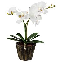 настольная лампа globo flowerpower 28002 в Хабаровске