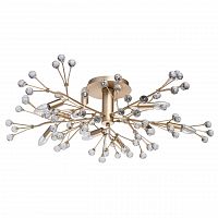 потолочная люстра mw-light адриатика 280011810 в Хабаровске