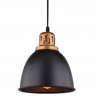 подвесной светильник arte lamp eurica a4245sp-1bk в Хабаровске