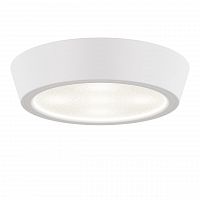 потолочный светодиодный светильник lightstar urbano 214904 в Хабаровске