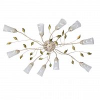 потолочная люстра mw-light восторг 242015510 в Хабаровске