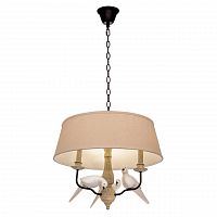 подвесная люстра loft it loft1029a-2 в Хабаровске