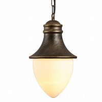 уличный подвесной светильник arte lamp vienna a1317so-1bn в Хабаровске