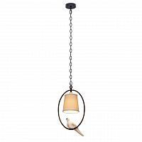 подвесной светильник loft it loft1029a-1 в Хабаровске